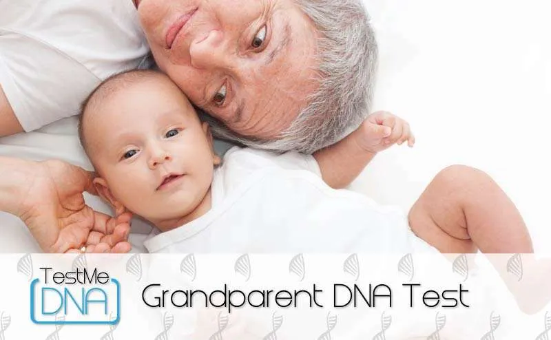 Grandparent DNA Test provided by Test Me DNA.