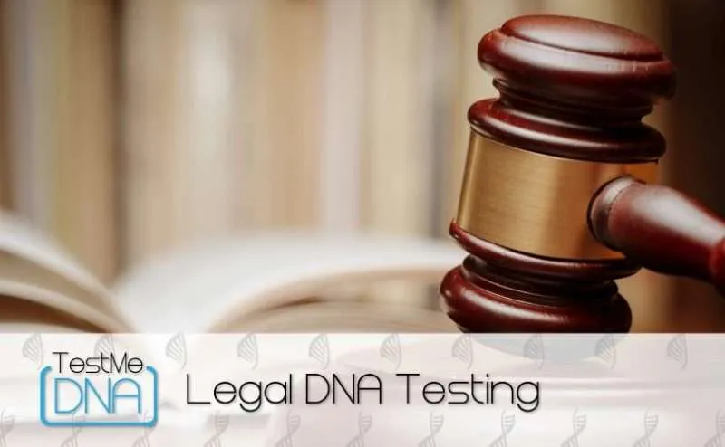 Legal Paternity Test Court Admissible DNA Testing Test Me DNA