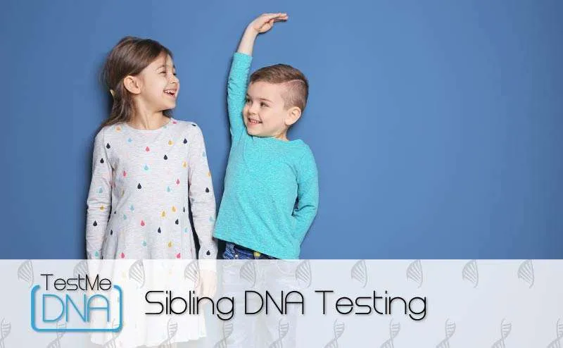 Sibling DNA Testing Teaser