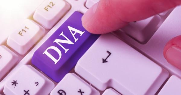 are-paternity-tests-accurate-test-me-dna